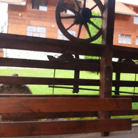 Pensiunea Codru Sălciua de Jos エクステリア 写真