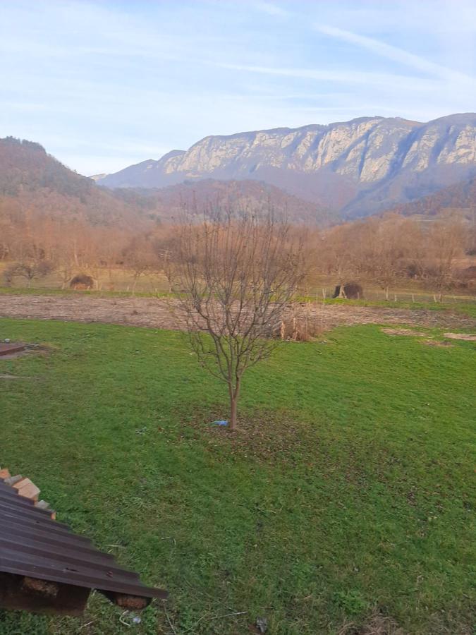 Pensiunea Codru Sălciua de Jos エクステリア 写真