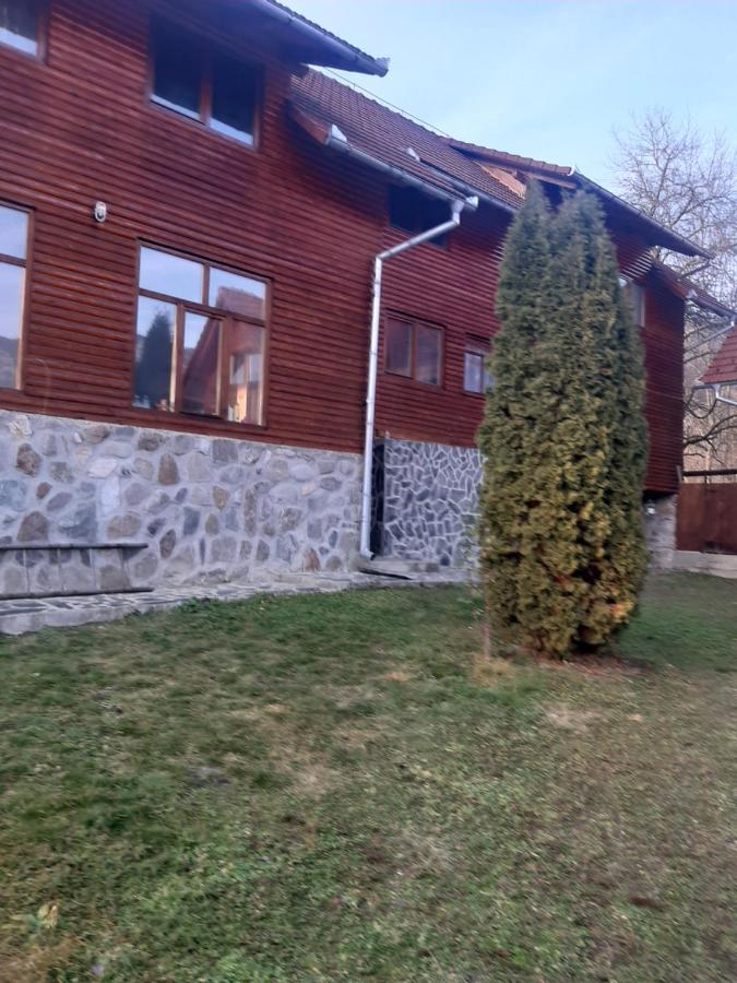 Pensiunea Codru Sălciua de Jos エクステリア 写真