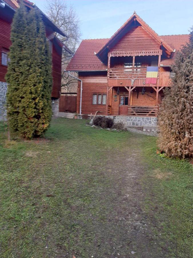 Pensiunea Codru Sălciua de Jos エクステリア 写真