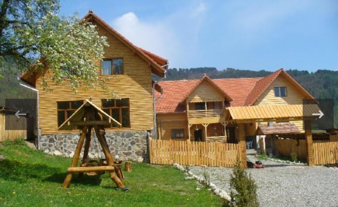Pensiunea Codru Sălciua de Jos エクステリア 写真