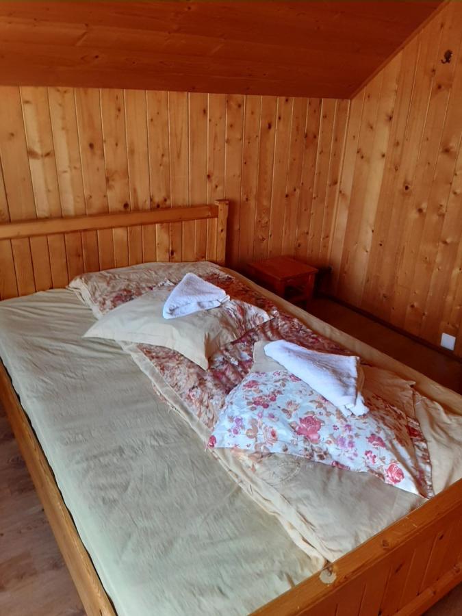Pensiunea Codru Sălciua de Jos エクステリア 写真