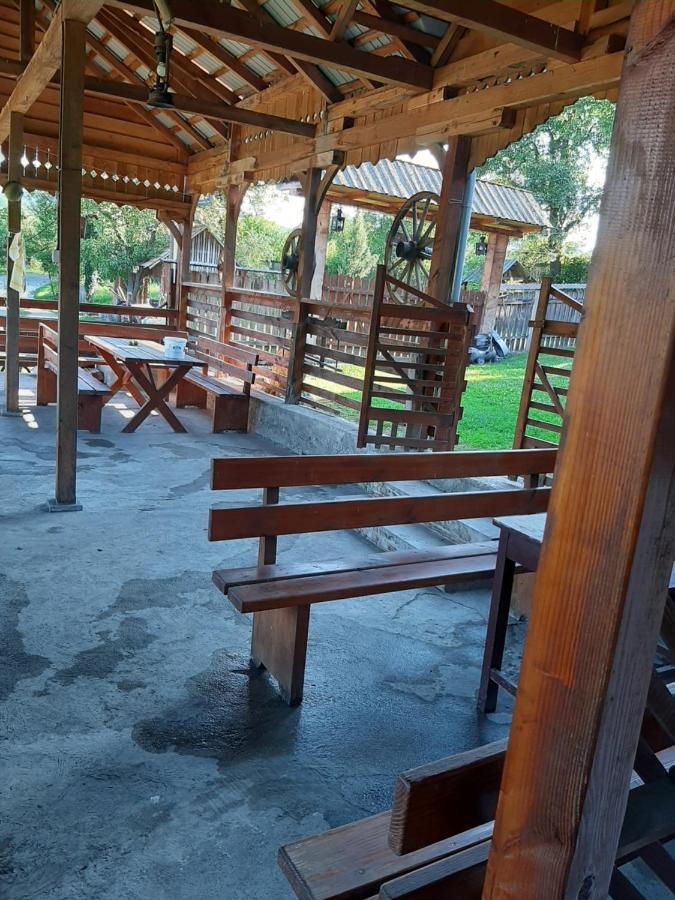 Pensiunea Codru Sălciua de Jos エクステリア 写真