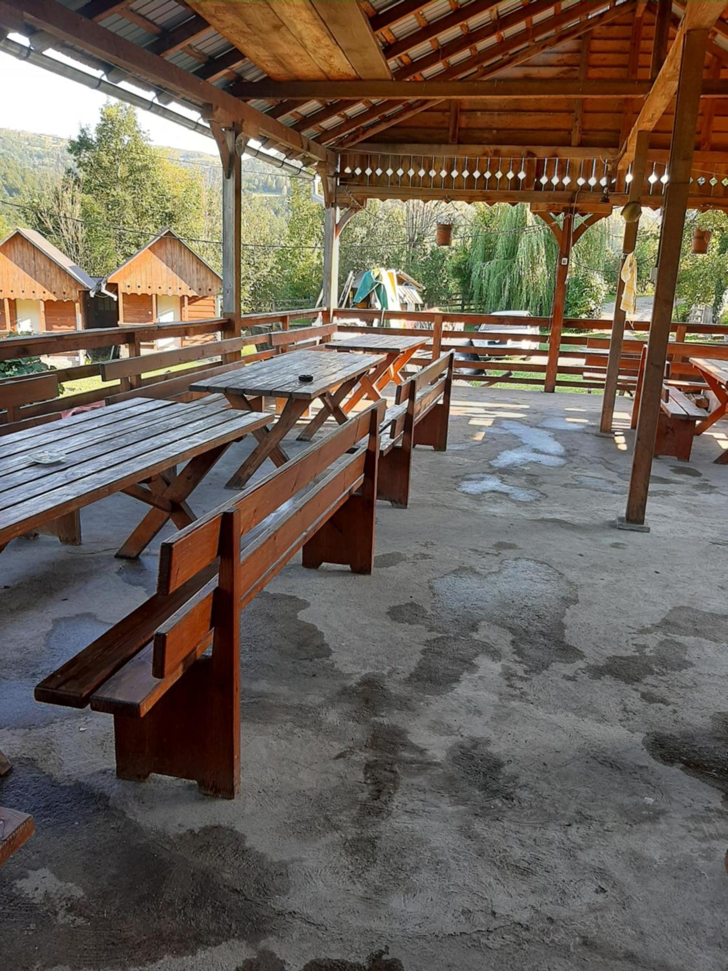 Pensiunea Codru Sălciua de Jos エクステリア 写真
